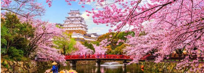Top 3 best blossom spots in Hokkaido